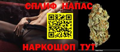 mdpv Аргун
